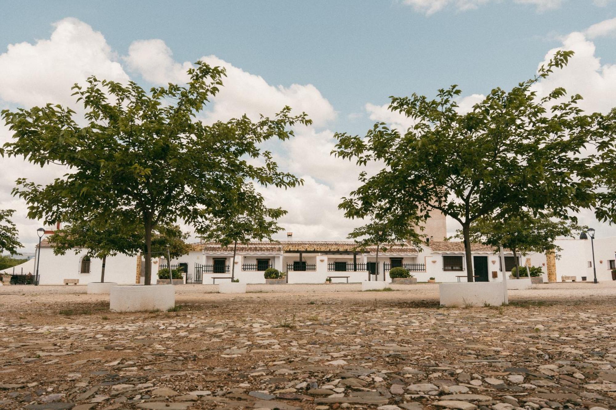 Turisticos La Teja Apartment