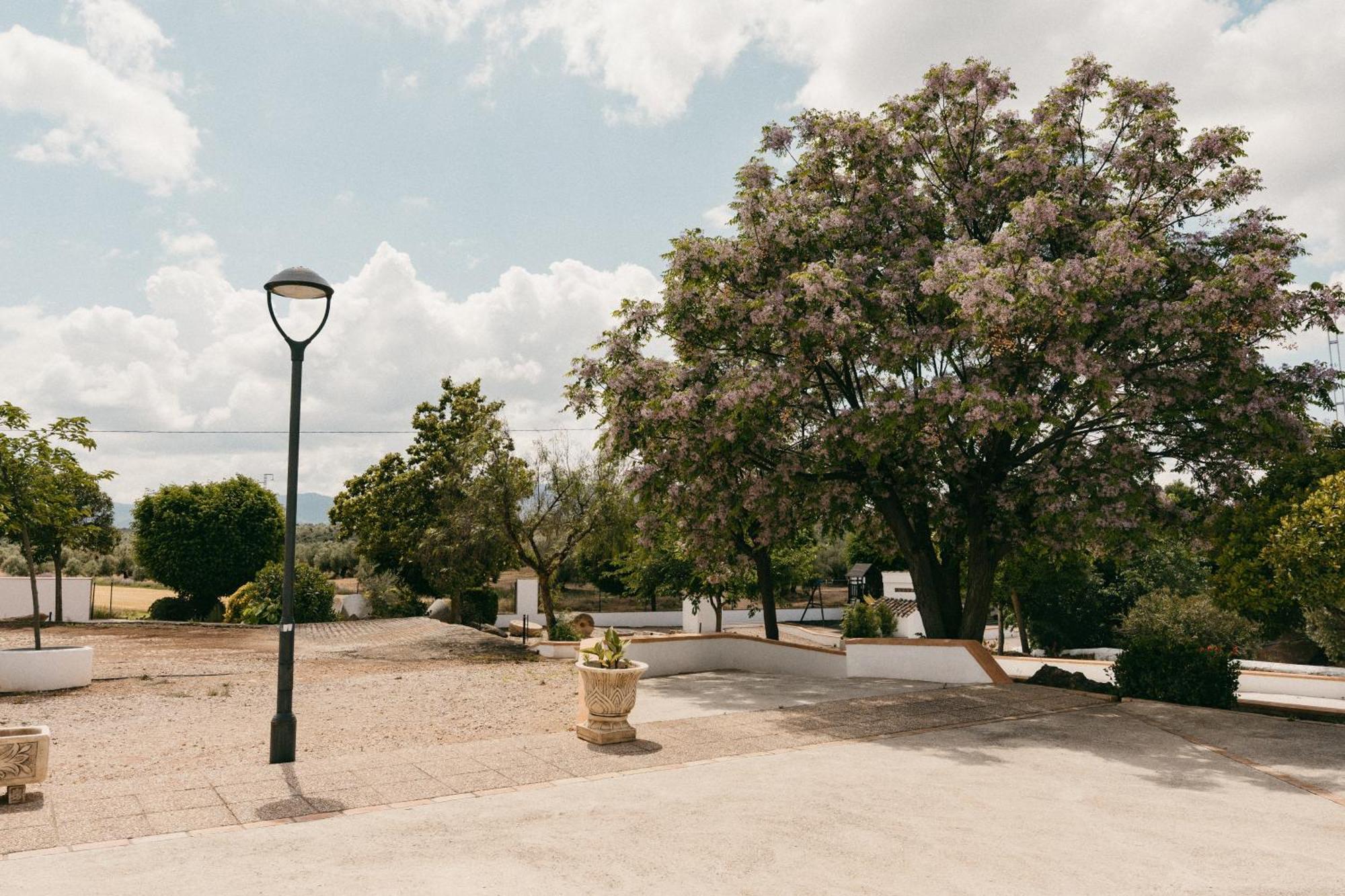 Turísticos La Teja * Arroyo del Ojanco