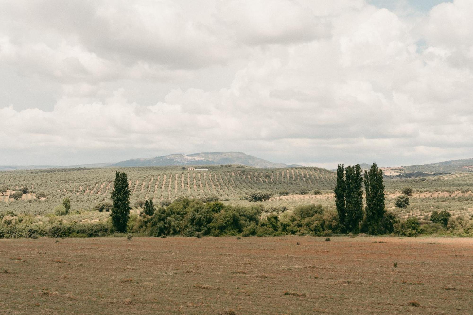 Appartamento Turisticos La Teja Arroyo del Ojanco