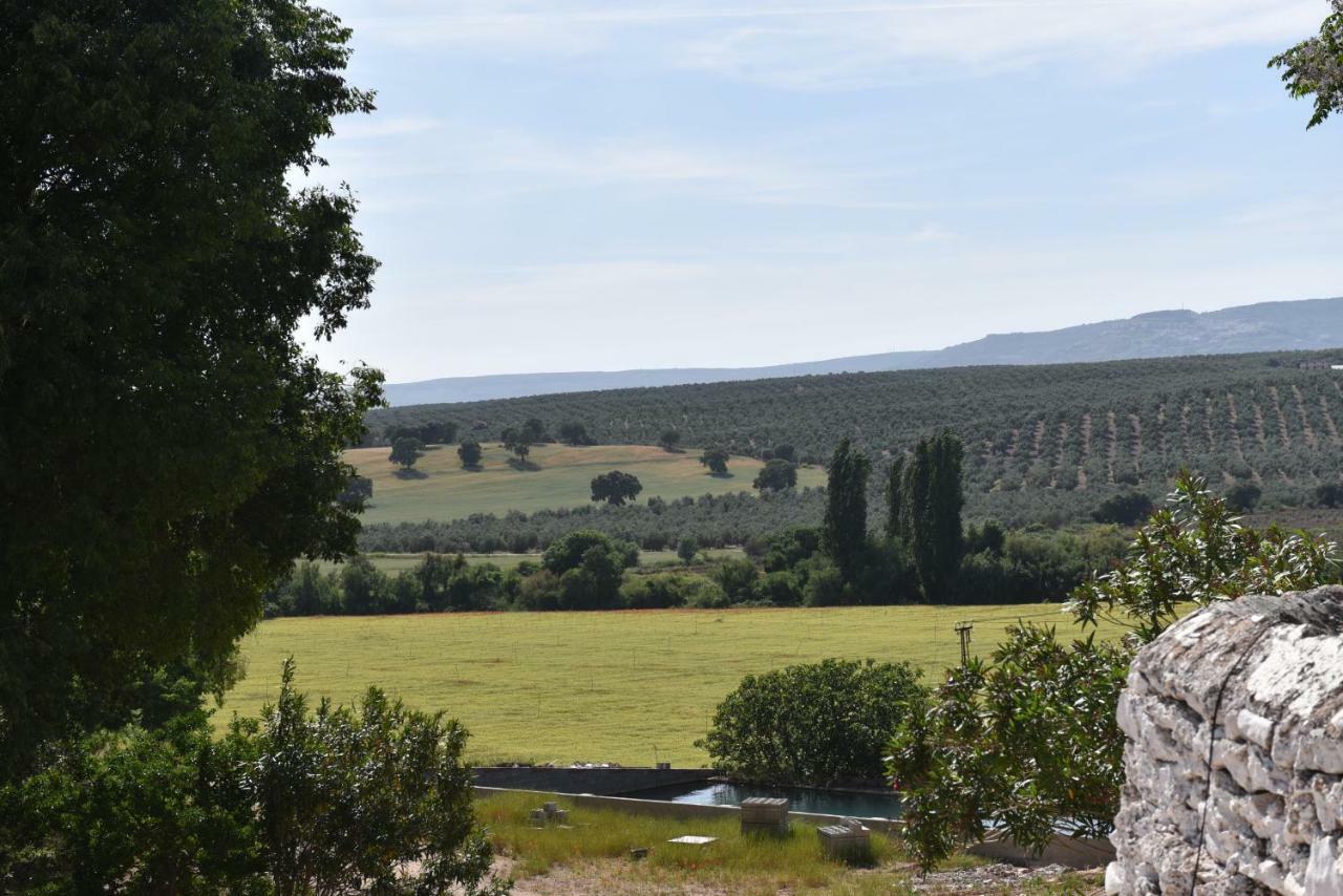 Turisticos La Teja Arroyo del Ojanco